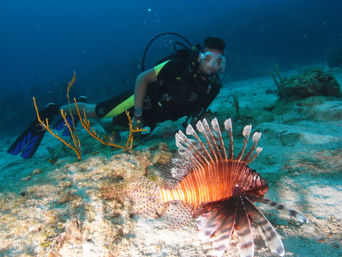 scuba diving bacunayagua reef