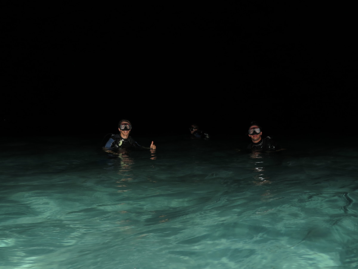 Scuba diving night dive