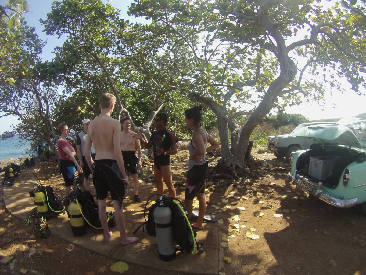 Scuba diving Coral Beach 