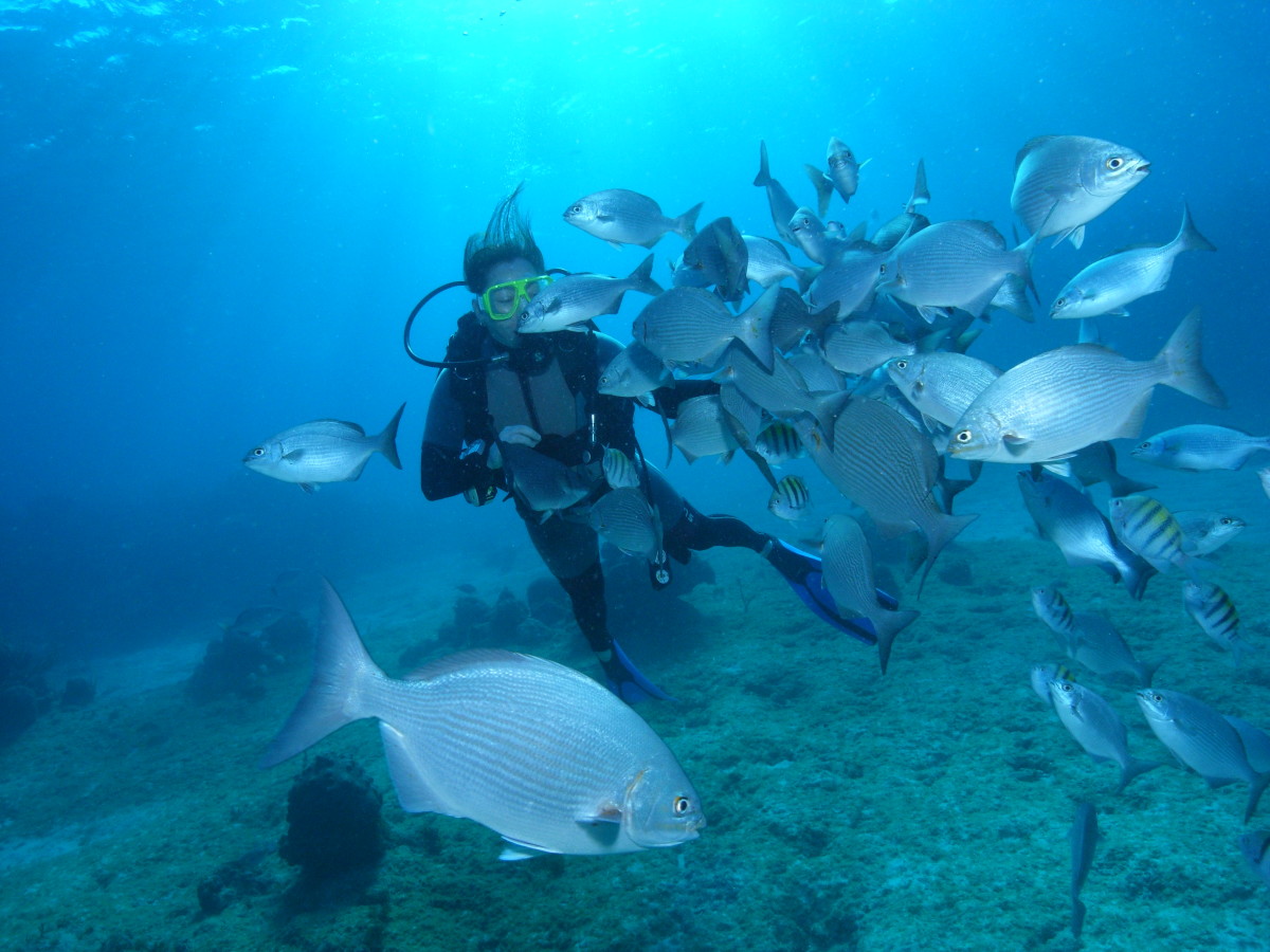 scuba diving bacunayagua reef