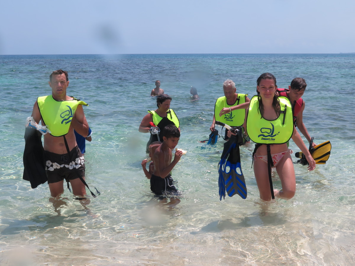 snorkeling coral beach