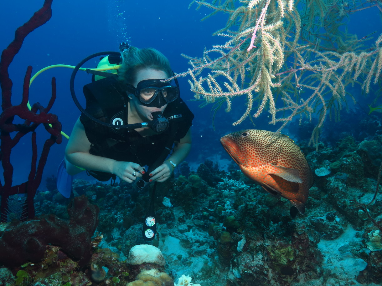 scuba diving bacunayagua