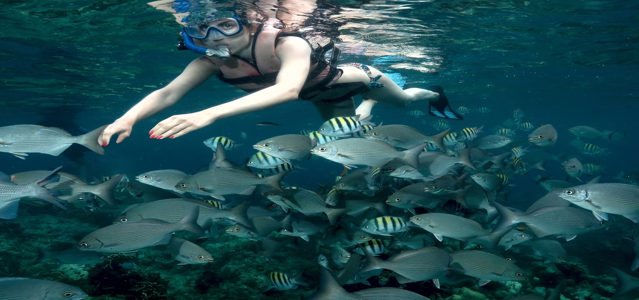 snorkeling varadero