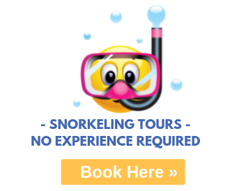 snorkeling excursions from Havana and varadero