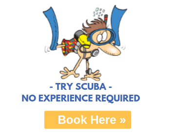 scuba diving courses from varadero and havana