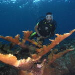 scuba diving bacunayagua