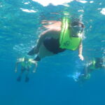 coral beach