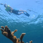 snorkeling coral beach