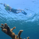 snorkeling coral beach