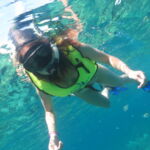 beautiful coral reef