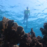 varadero