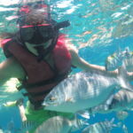 snorkeling coral beach