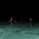 night dive varadero
