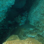 cave diving varadero