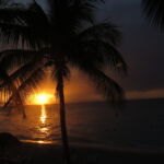 Padi night diver course