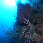padi deep diver course