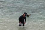 diving in varadero cuba