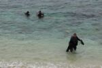 diving in varadero padi cuba