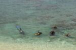 shore diving cuba