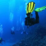 PADI open water
