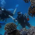 learn to scuba dive havana