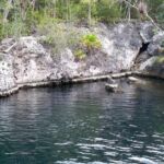 cenote bay of pigs