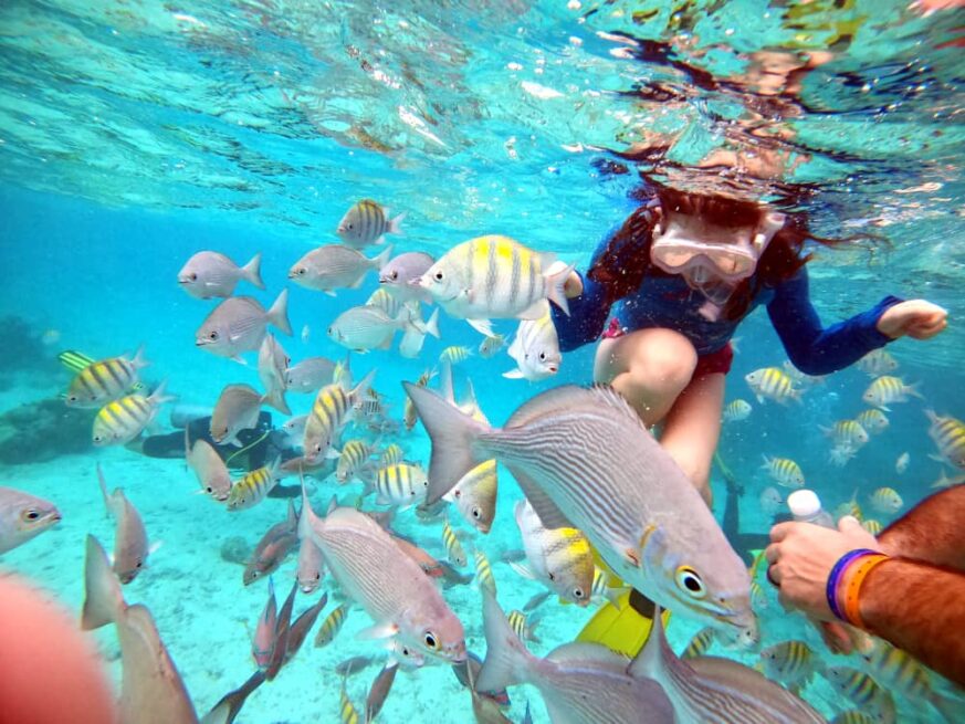 Snorkeler exploring the vibrant coral reefs off Coral Beach in Varadero, showcasing the diverse marine life and crystal-clear waters.