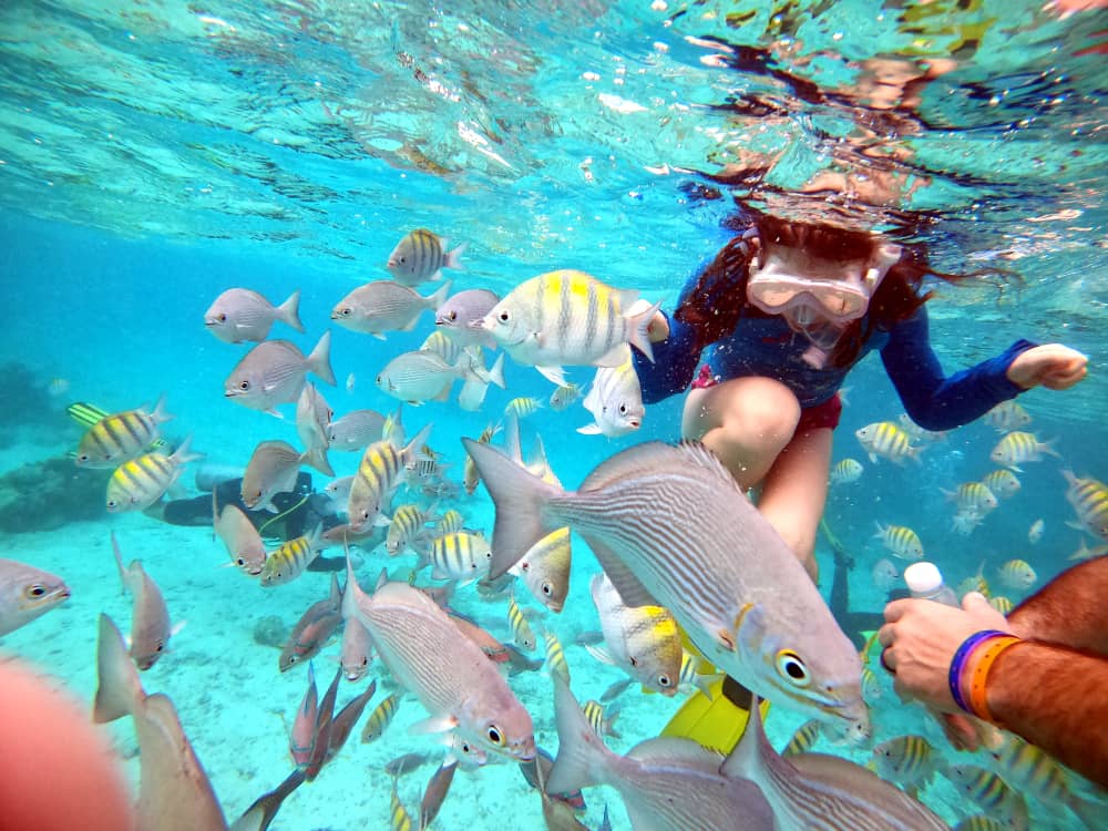 Snorkeler exploring the vibrant coral reefs off Coral Beach in Varadero, showcasing the diverse marine life and crystal-clear waters.